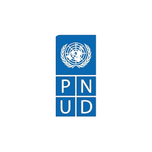 PNUD-removebg-preview_1_