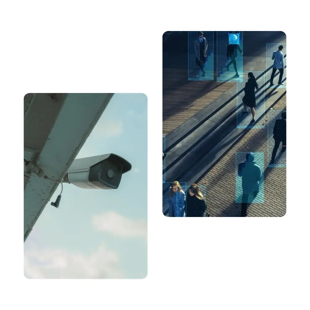 Image représentative de la section